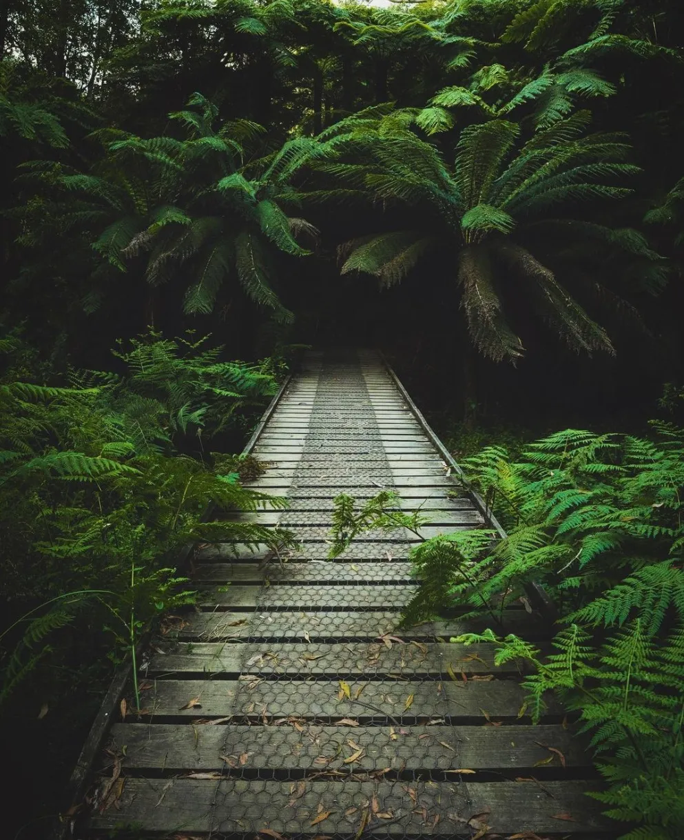 Great Otway National Park