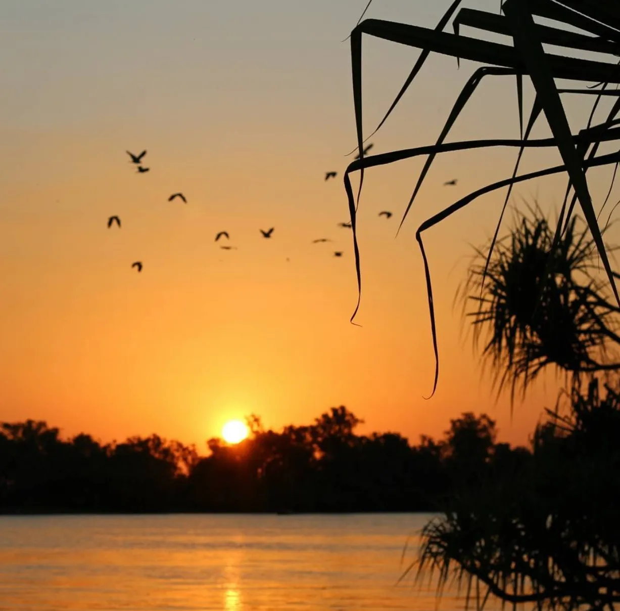 Best Time for Airboat Tours