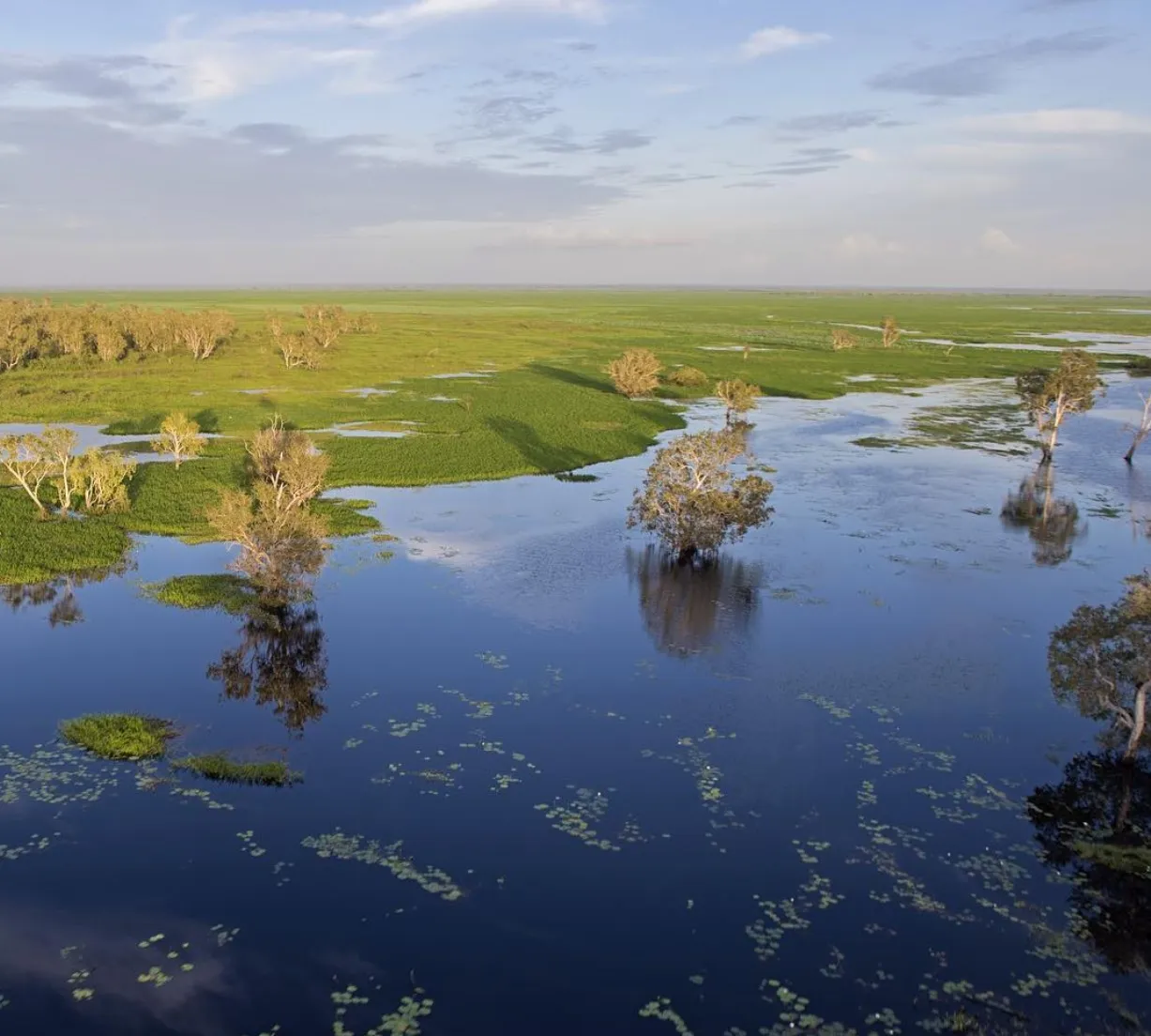 How to Book Your Airboat Tour