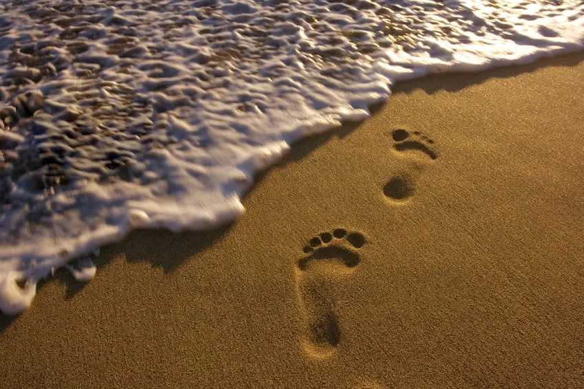 Foot Prints