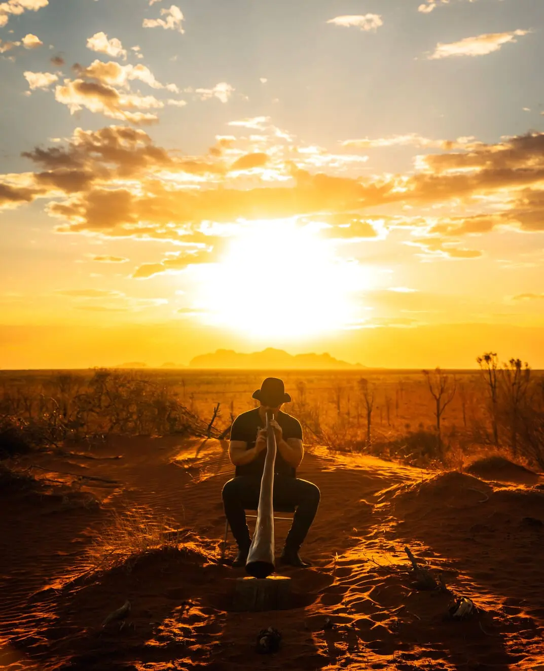 alice spring to uluru tour