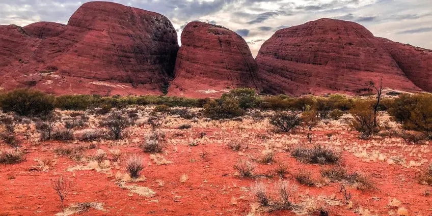 best tours uluru