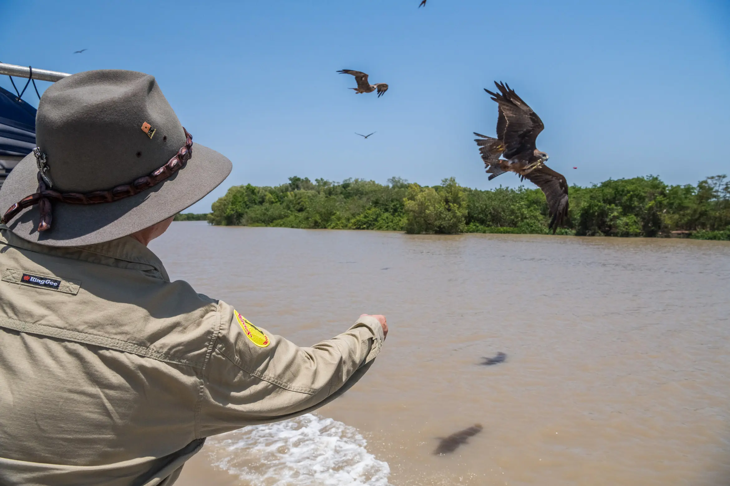 darwin croc tour