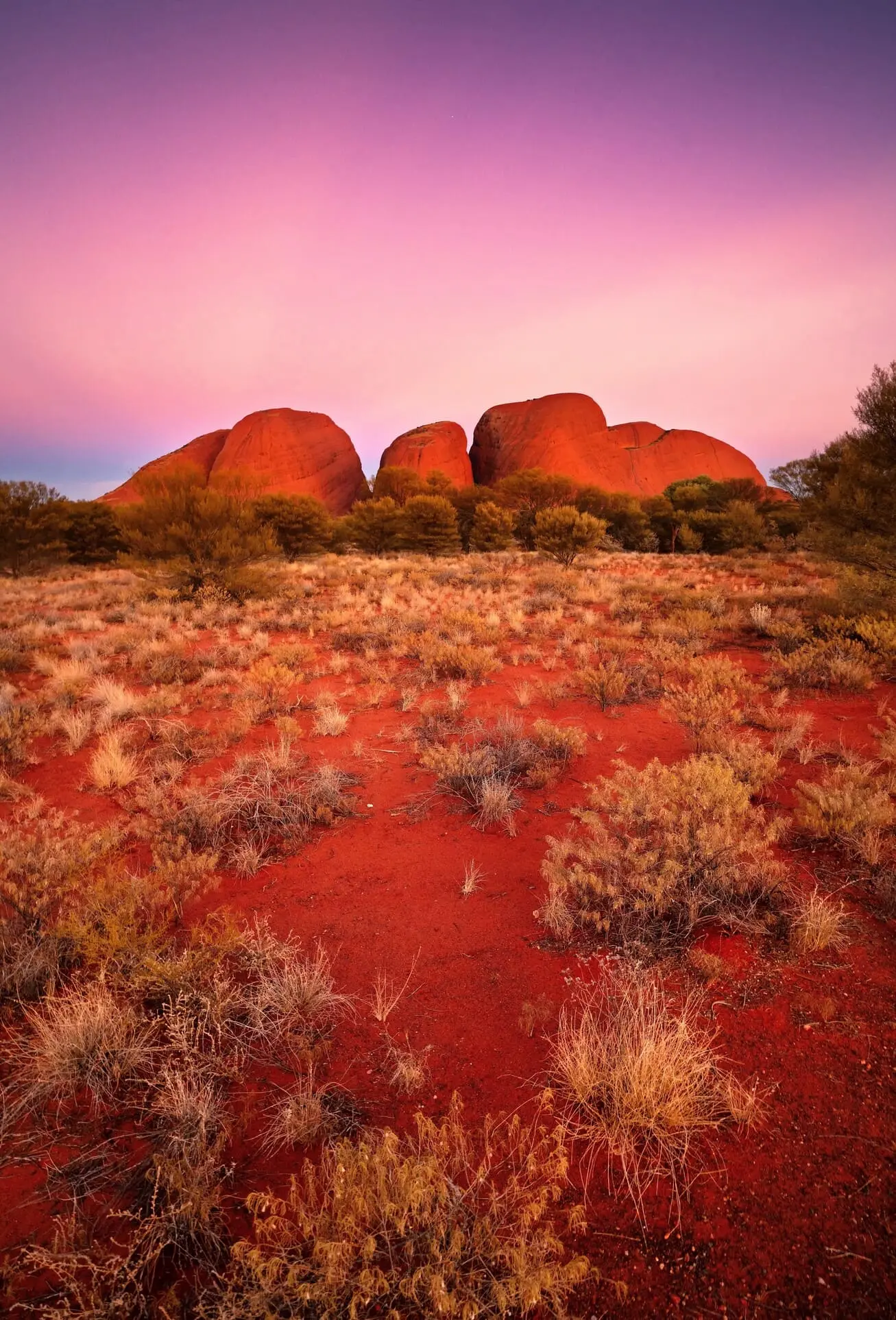 day trip alice springs to uluru