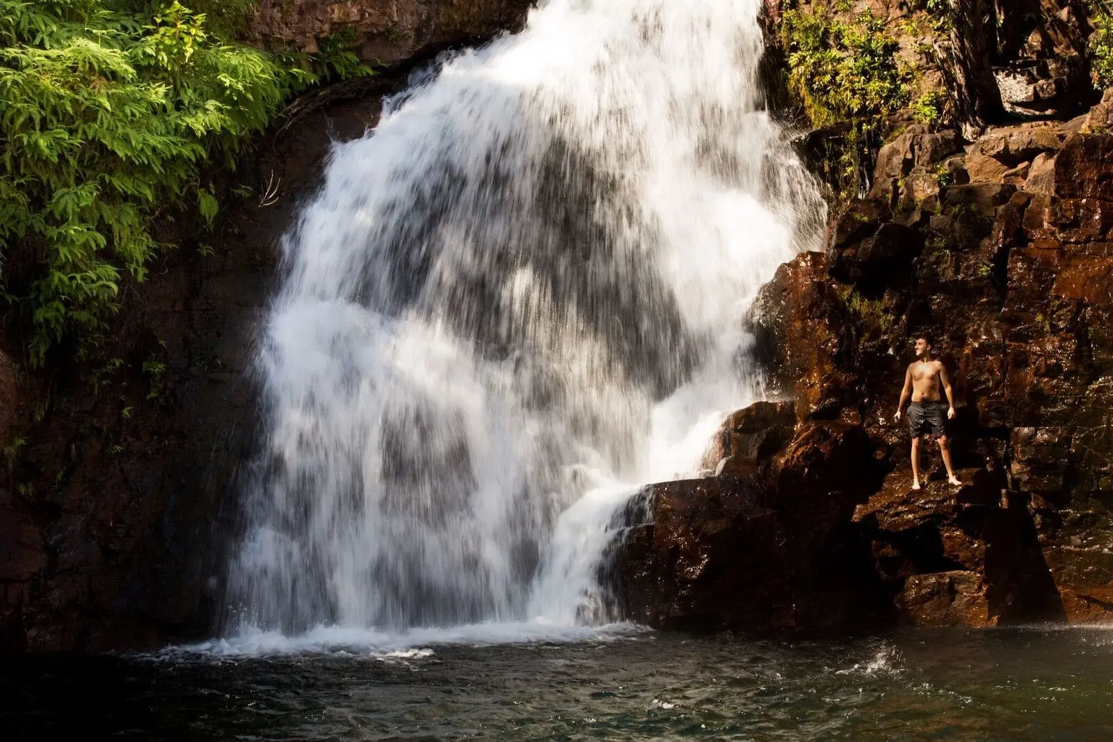 day trip to litchfield national park