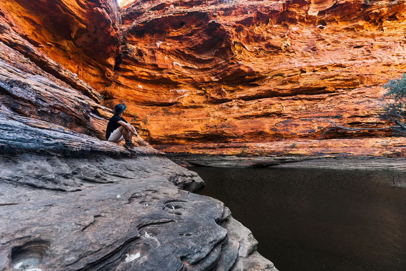 day trips alice springs