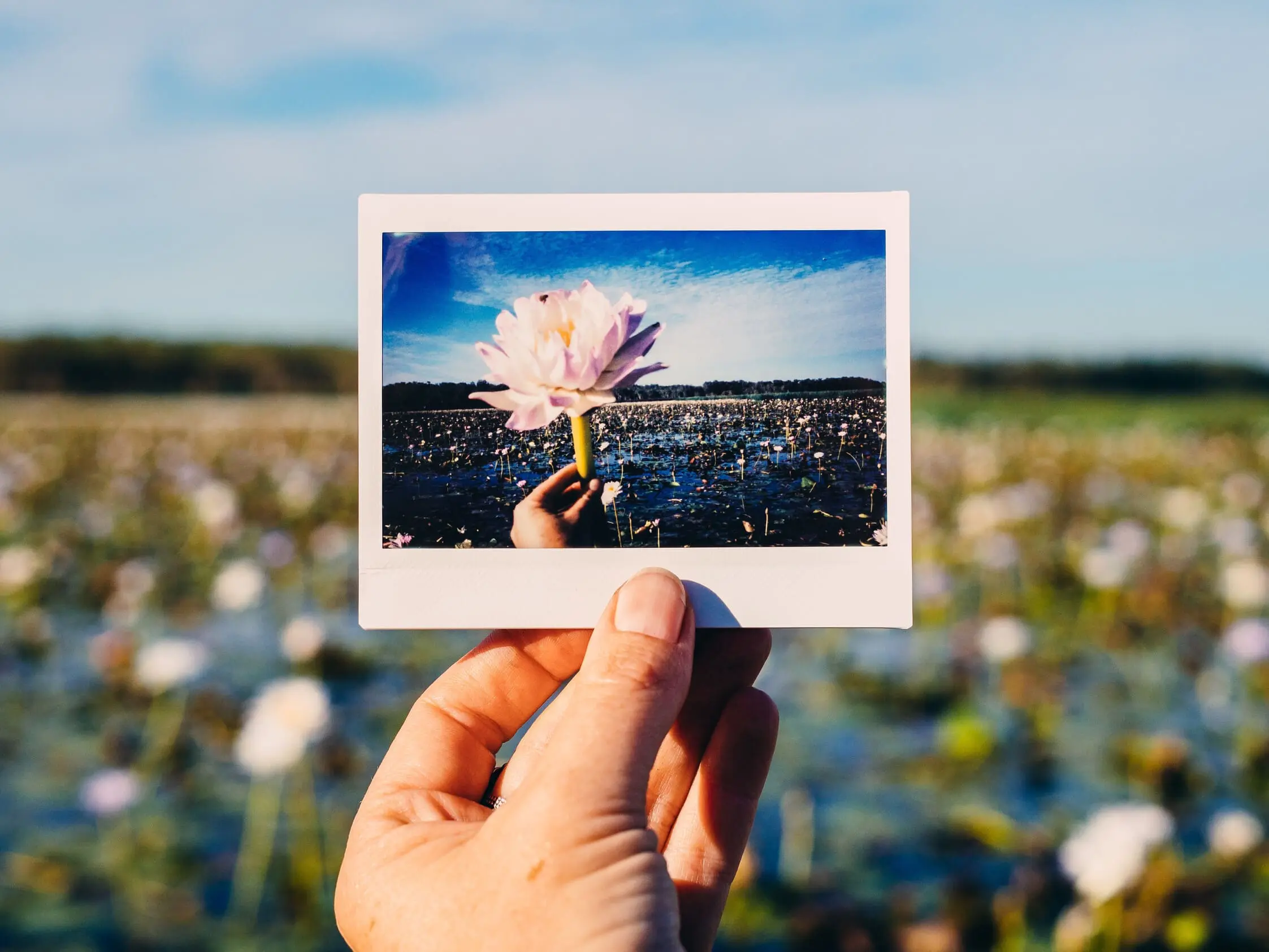 day trips to kakadu from darwin
