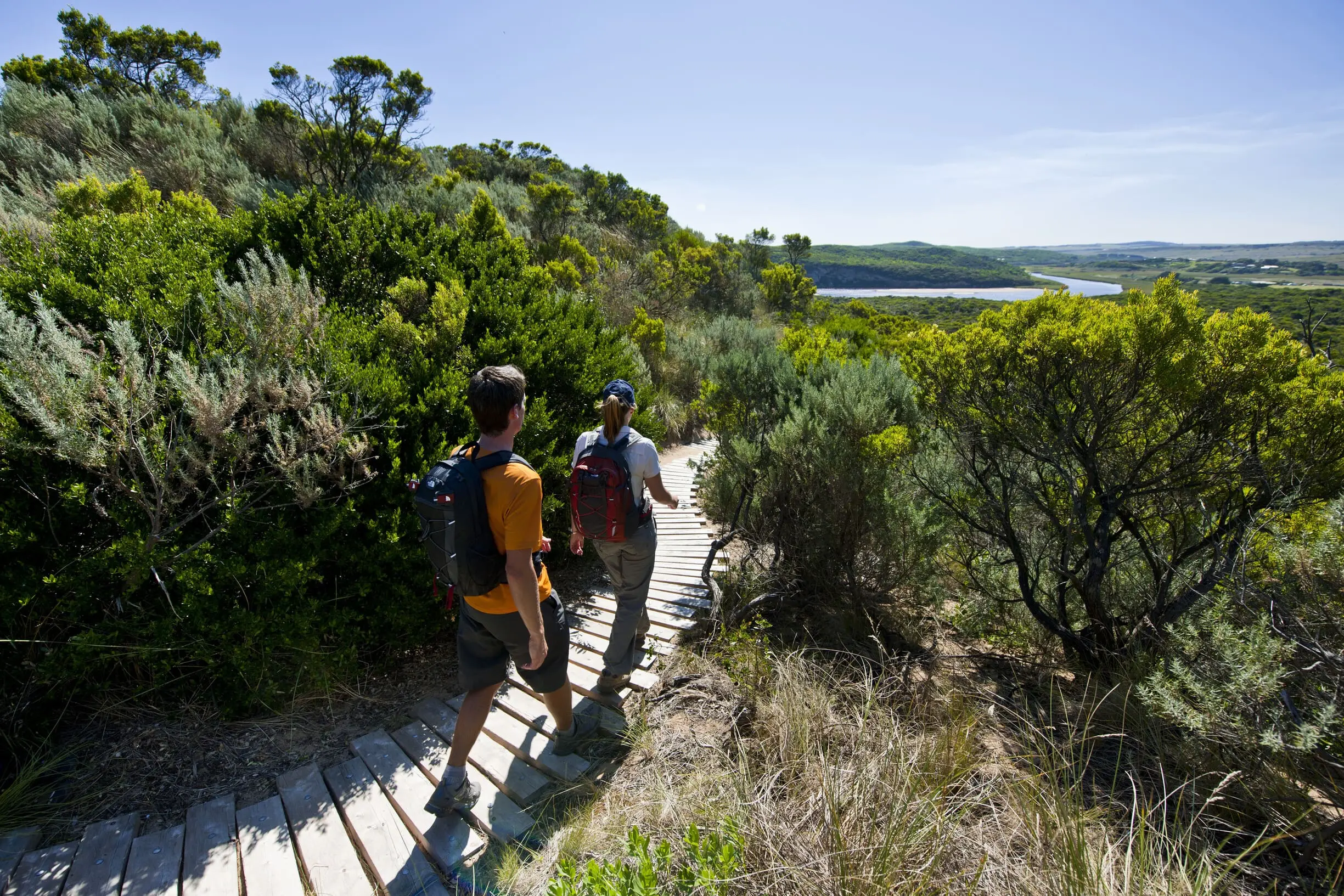 great ocean road melbourne tour