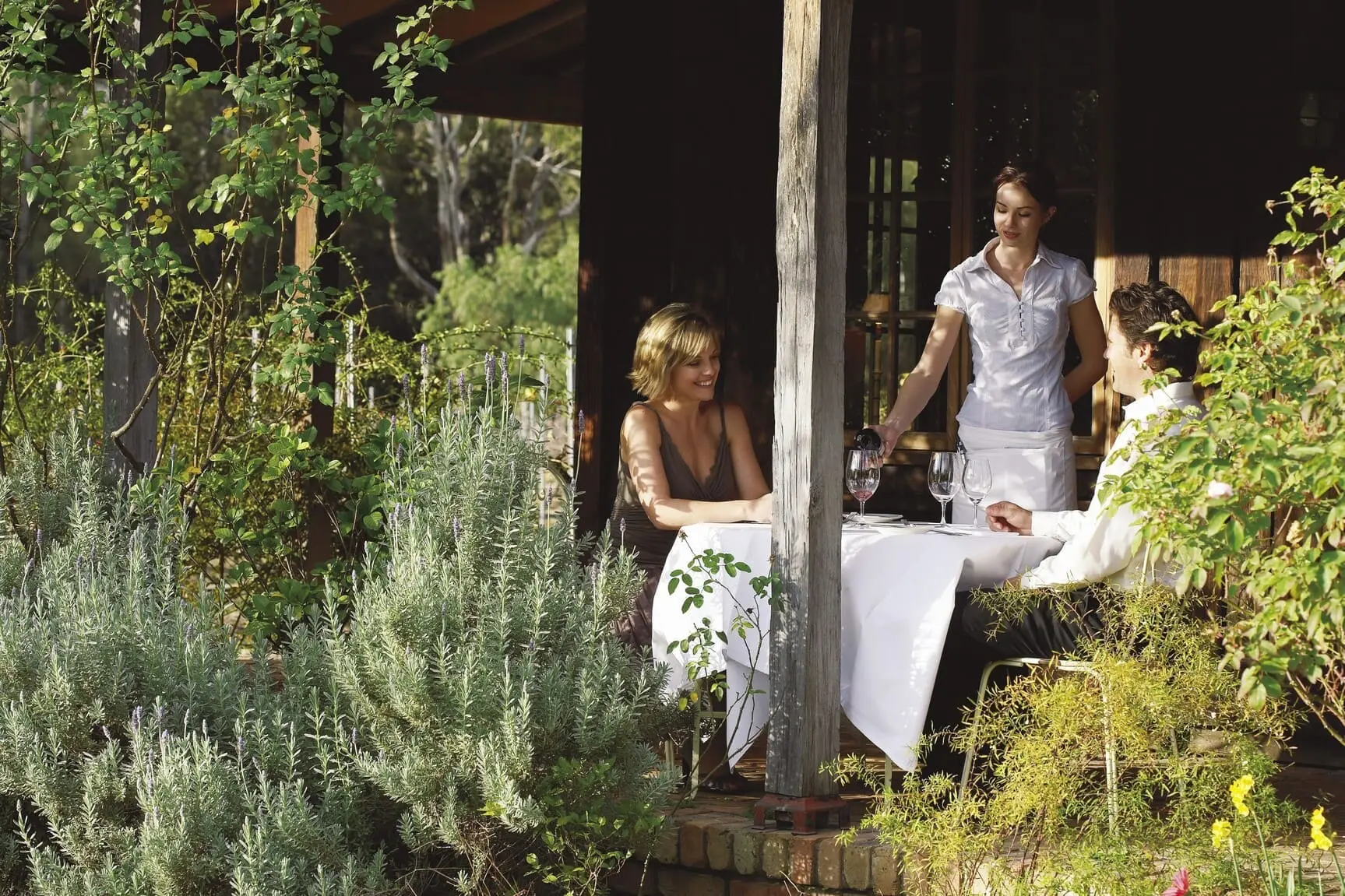 hunter valley food and wine tours