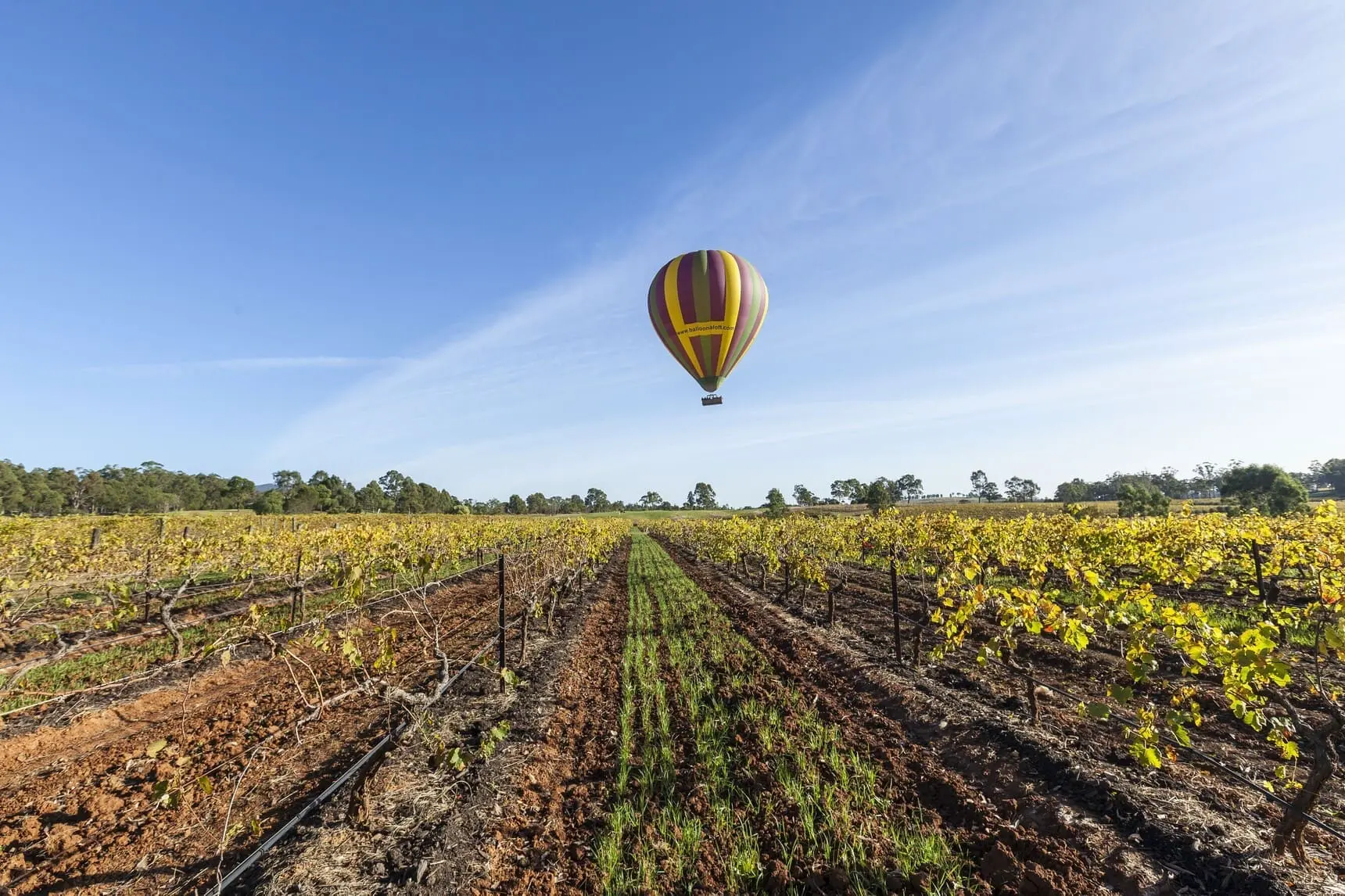 hunter wine tour