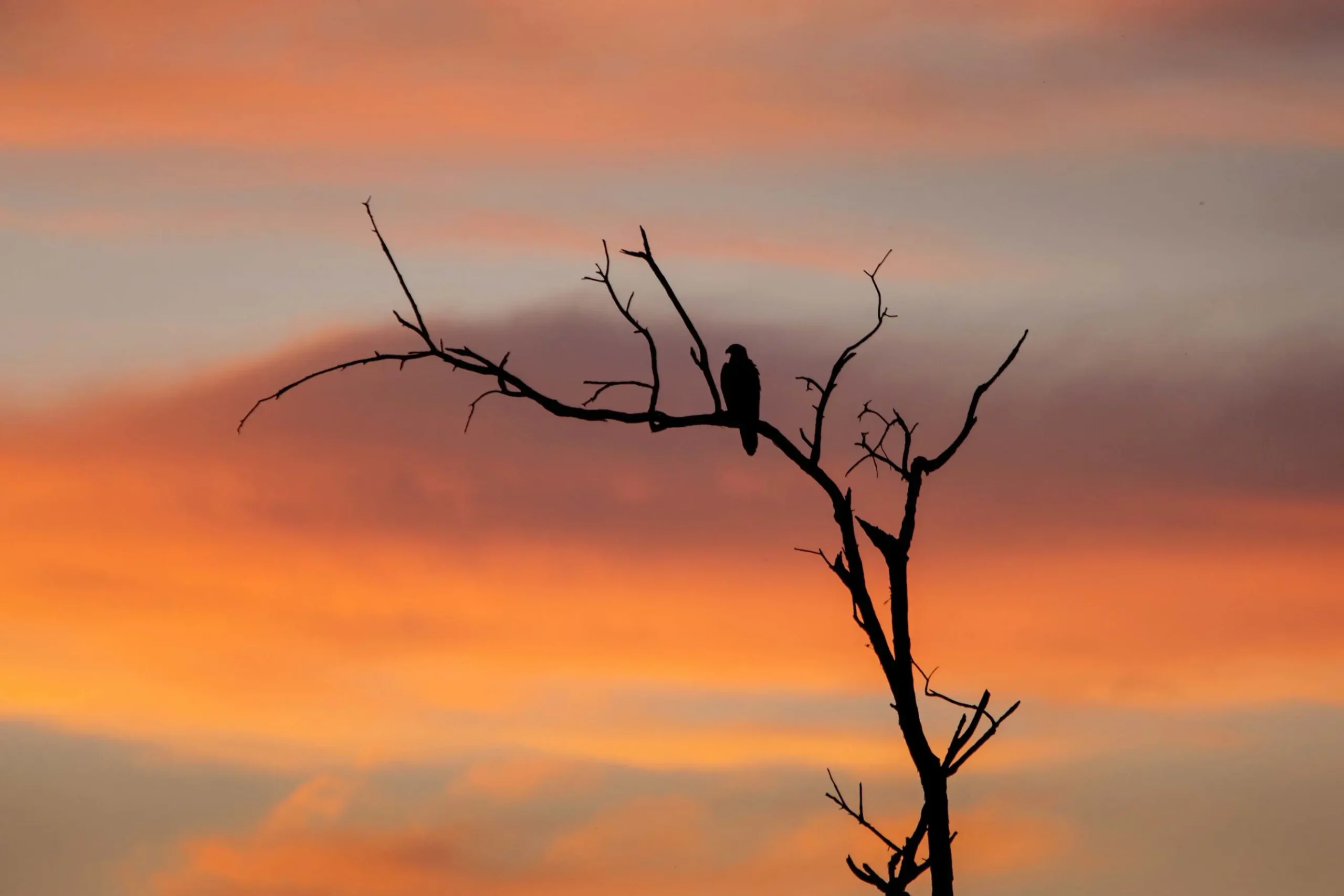 kakadu national park day tour