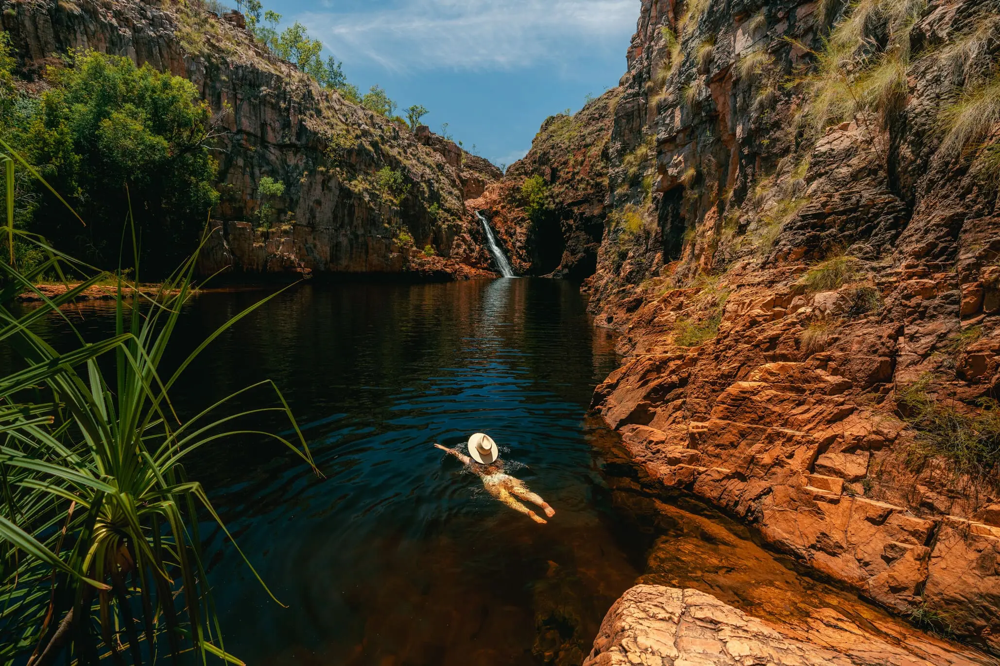 kakadu tours from darwin 1 day