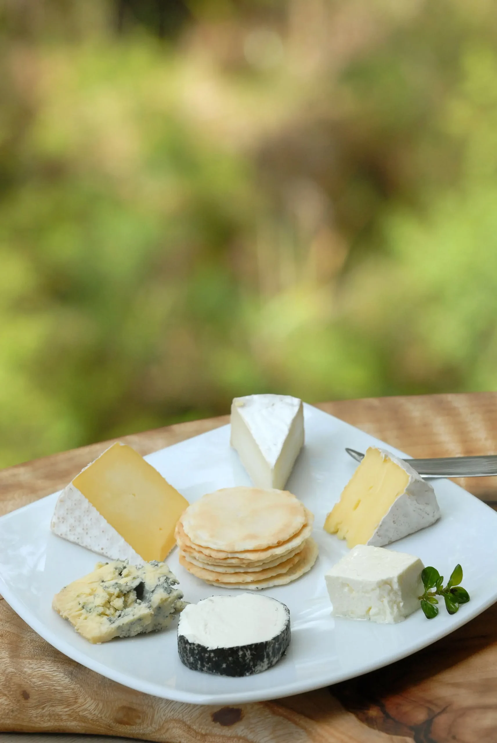 mornington peninsula tours