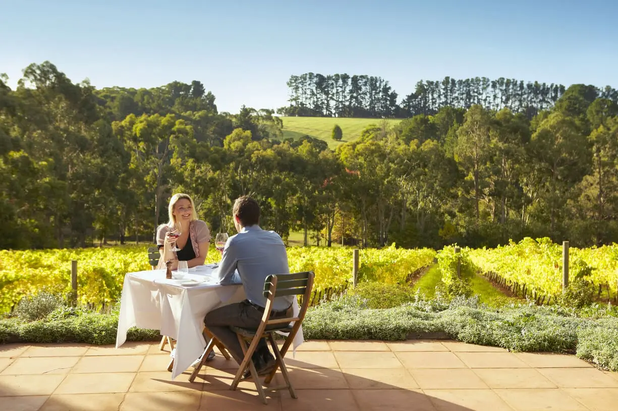 mornington winery tours