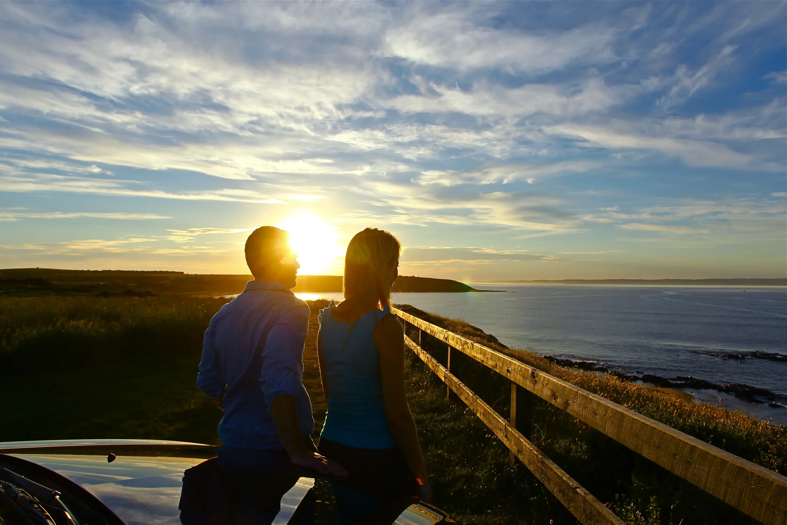 phillip island penguin coach tour
