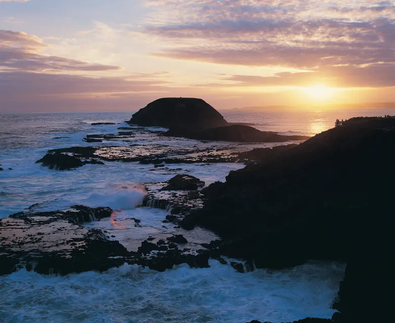 phillip island tour melbourne