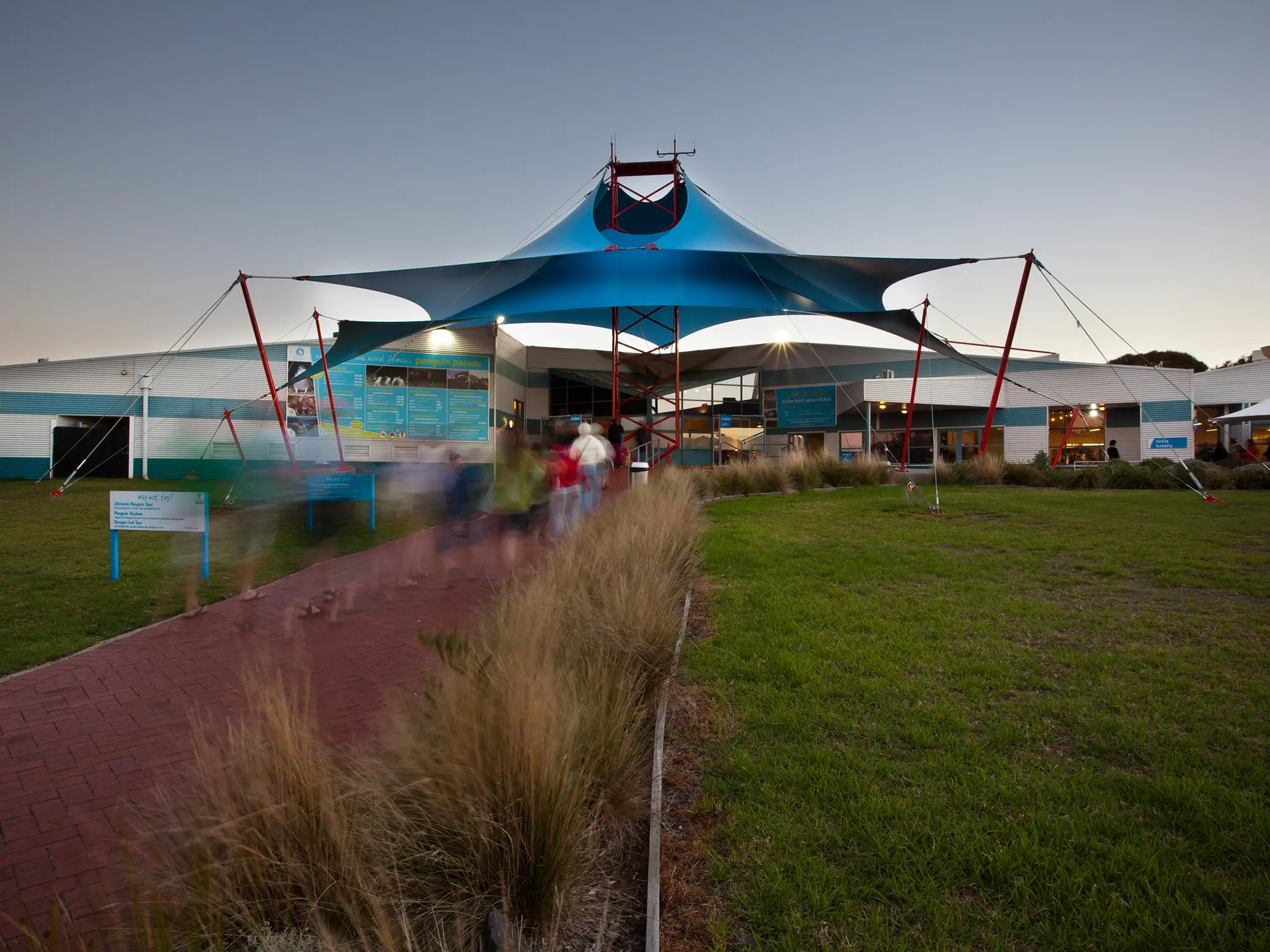 phillip island tours from melbourne