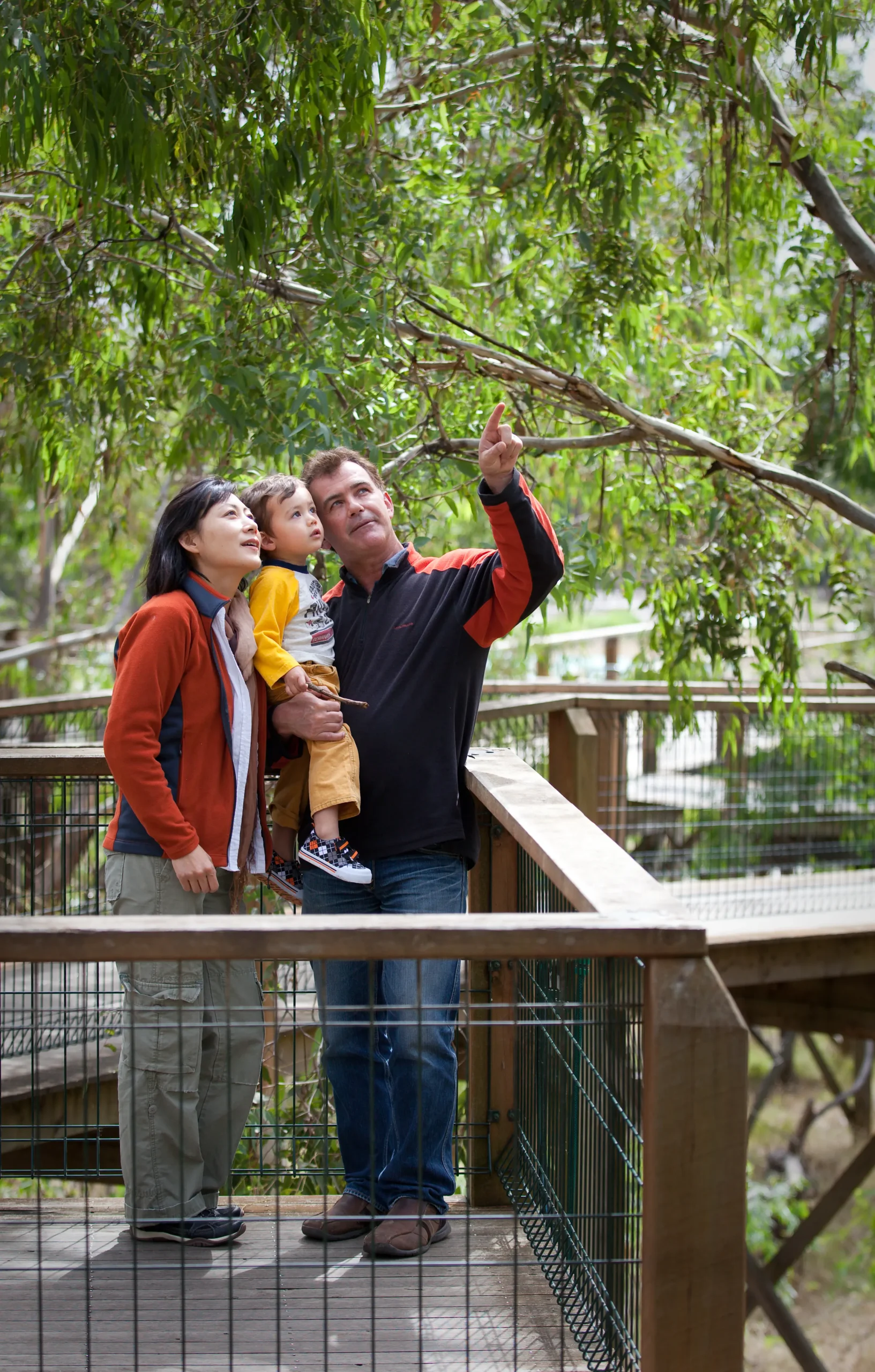 phillips island tour