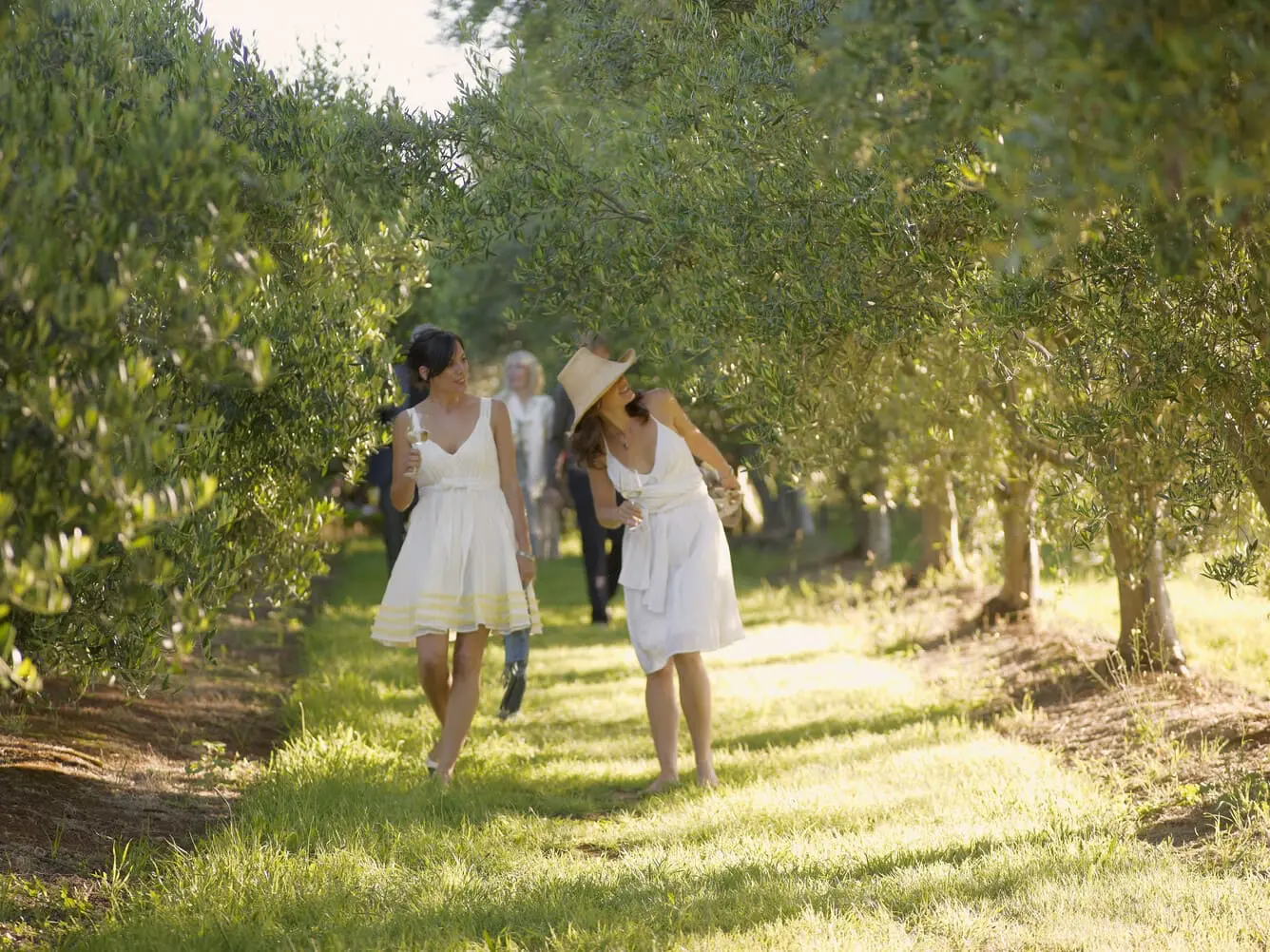 private mornington peninsula wine tours.jpg