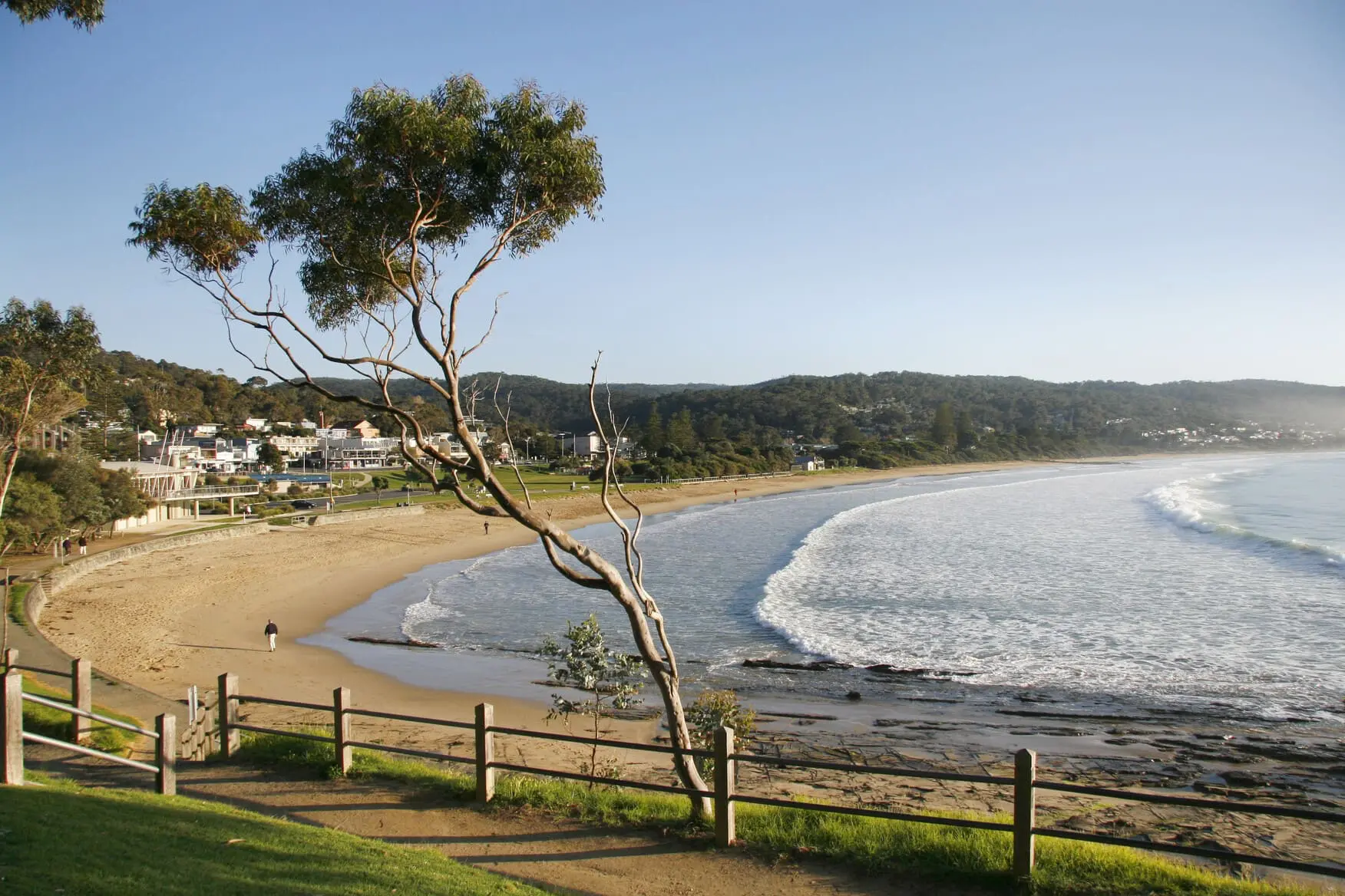 the great ocean road tours