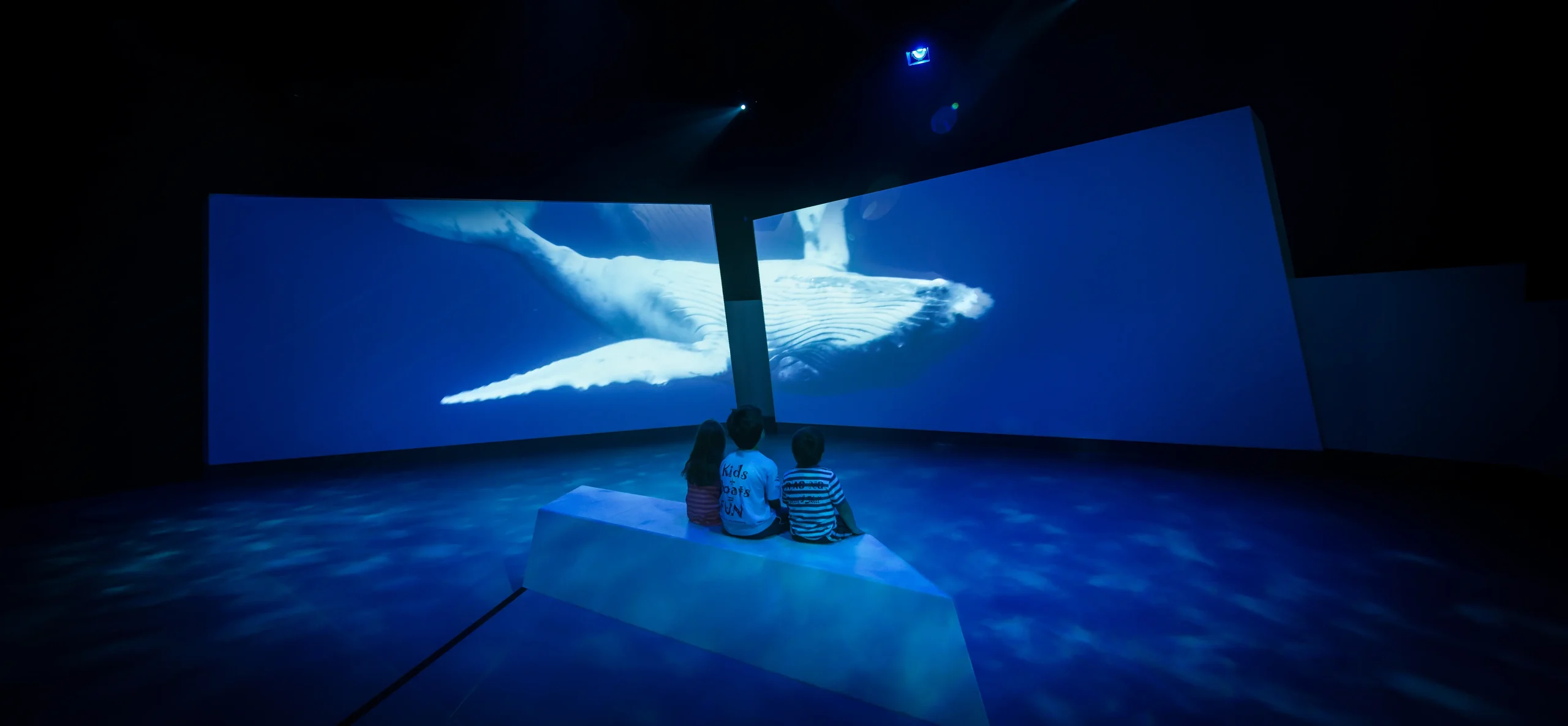 tour to phillip island