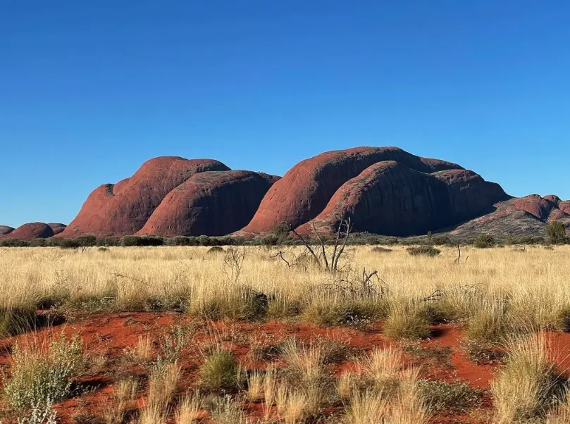 tours at uluru