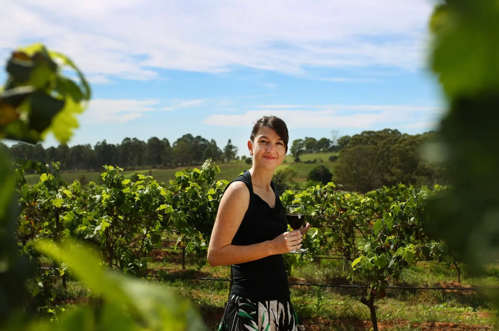 tours hunter valley