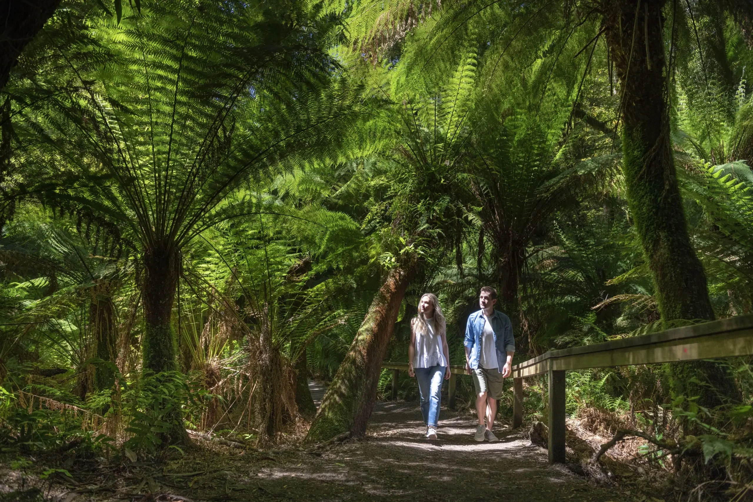 tours of great ocean road
