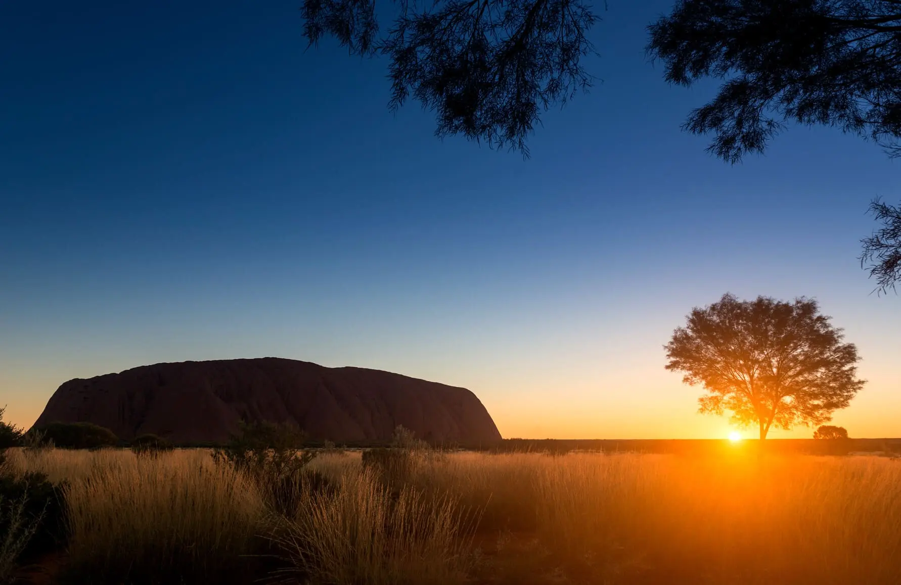 uluru day trip from alice springs