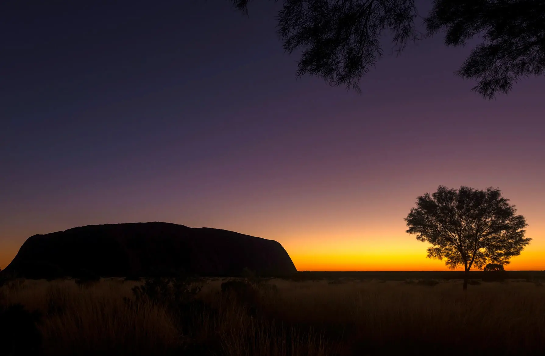 uluru to alice springs tour