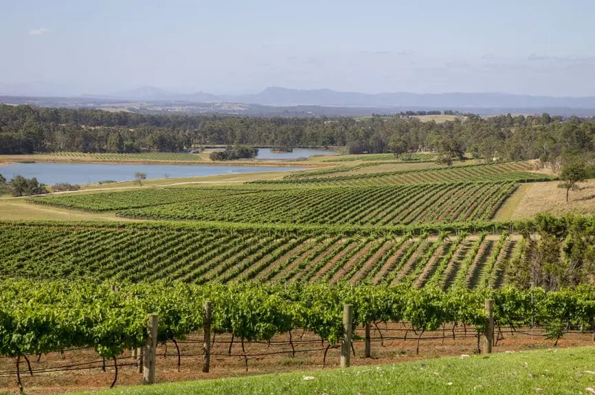 wine tasting tour hunter valley