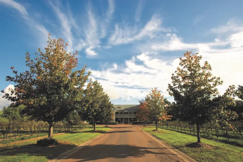 wine tours hunter valley