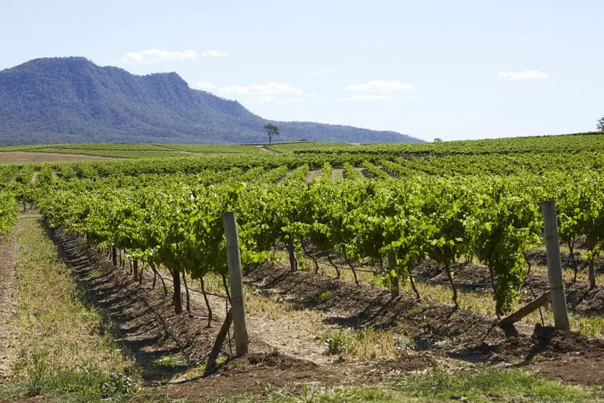 winery tours hunter valley nsw