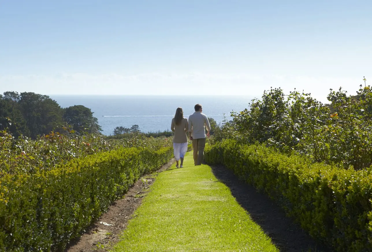 winery tours mornington peninsula