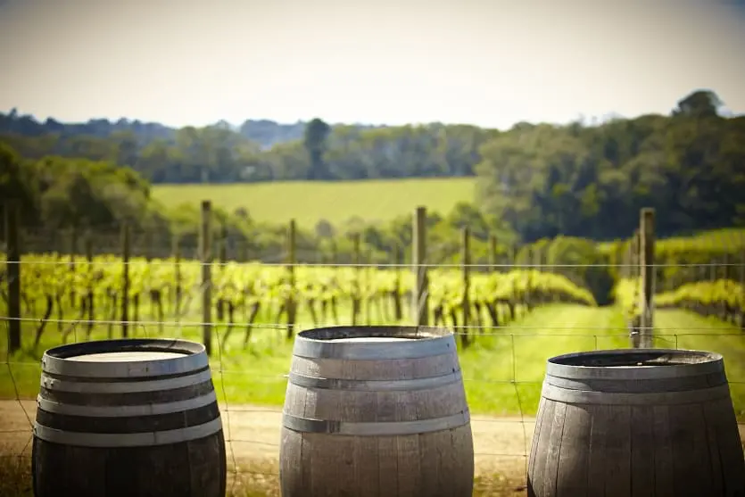winery tours mornington