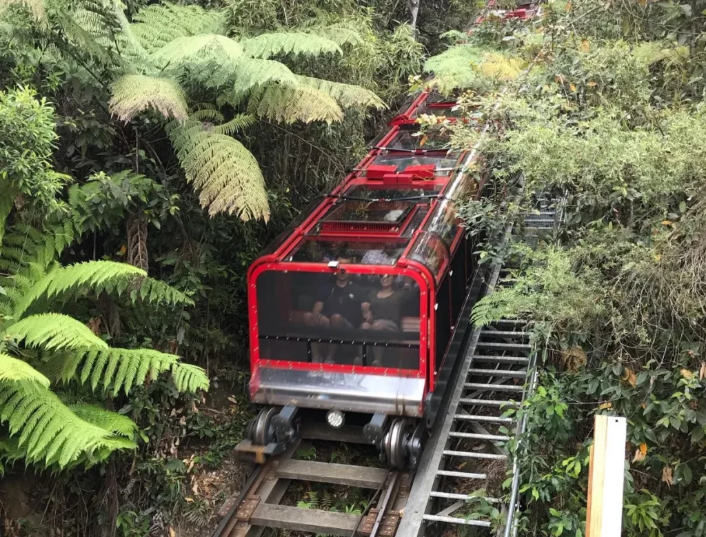 Scenic Railway