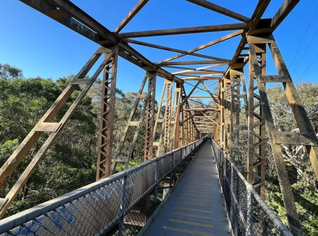 Main Yarra Trail & Merri Creek Trail
