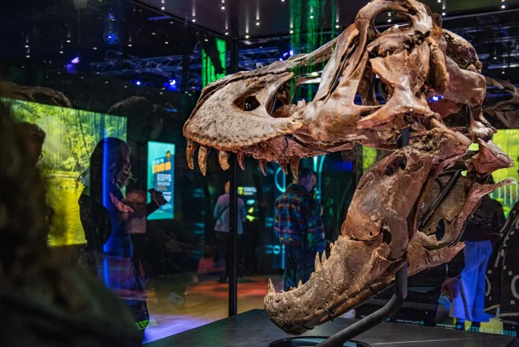 Melbourne’s Cultural Hotspots Museums