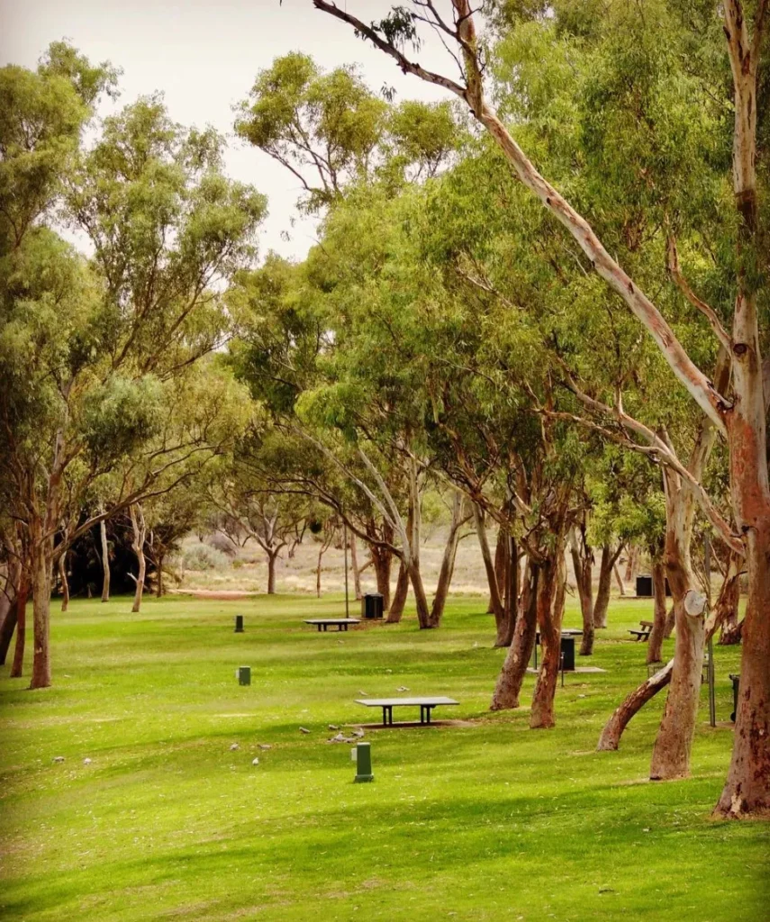 From Alice Springs to Uluru